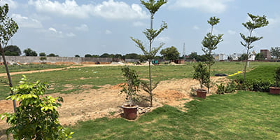 Roots Courtyard 2 - Construction Update - july 2025